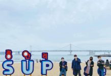 Adoptees Down South: Busan